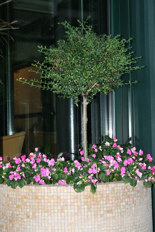 La Perla B&B Hotel Roseto Degli Abruzzi Exterior foto